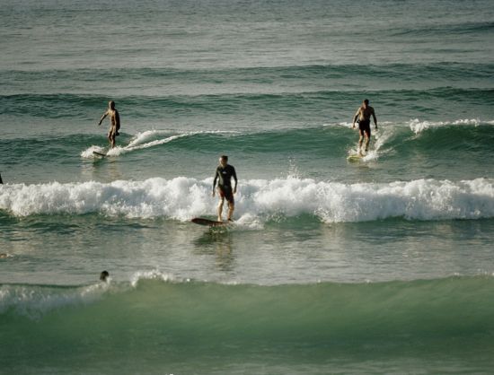 Enthusiastic surfers on boards navigating the ocean waves, highlighting the adventure at Sri Lanka's premier surfing destinations.