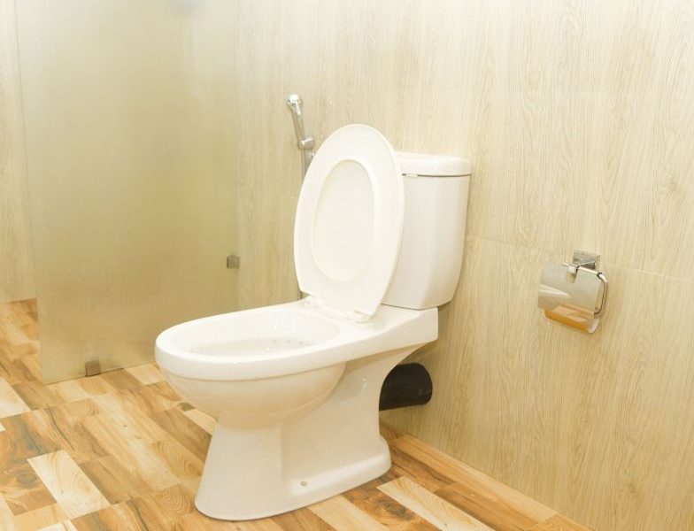 A hygienic bathroom with a toilet and shower, highlighting the affordable accommodations at Mon Ami City Hotel.